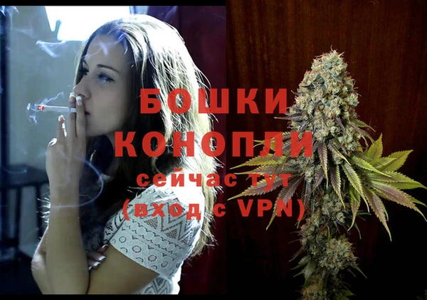 МДПВ Верхний Тагил