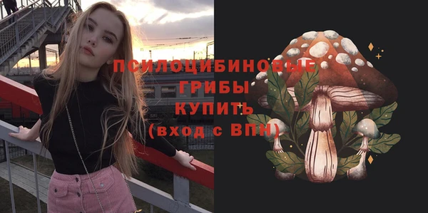 МДПВ Верхний Тагил
